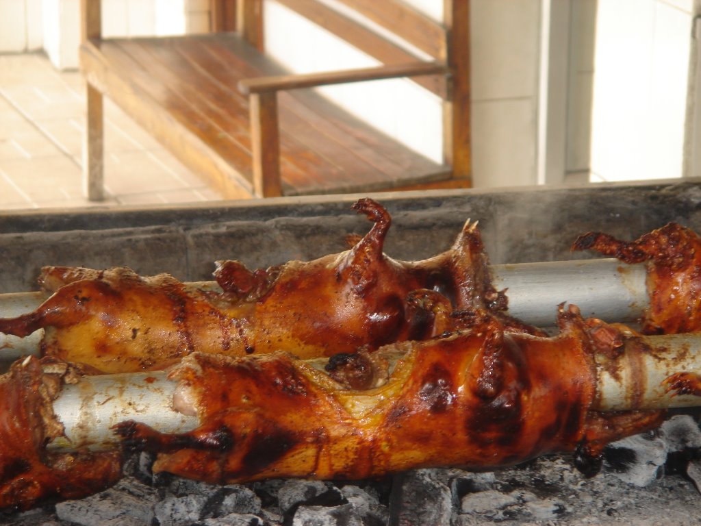 Cuyes asados en varilla sobre brasas